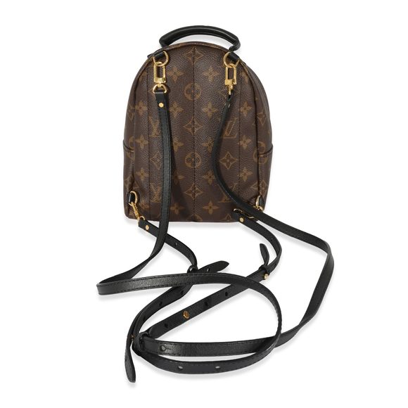 Louis Vuitton Monogram Canvas Palm Springs Mini Backpack - Picture 3 of 6